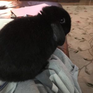 Meet your Posher, Danielle